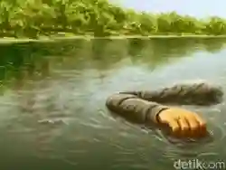 Pria di Bogor Meninggal Tenggelam Ketika Bersembunyi dari Kejaran Tawon Hutan